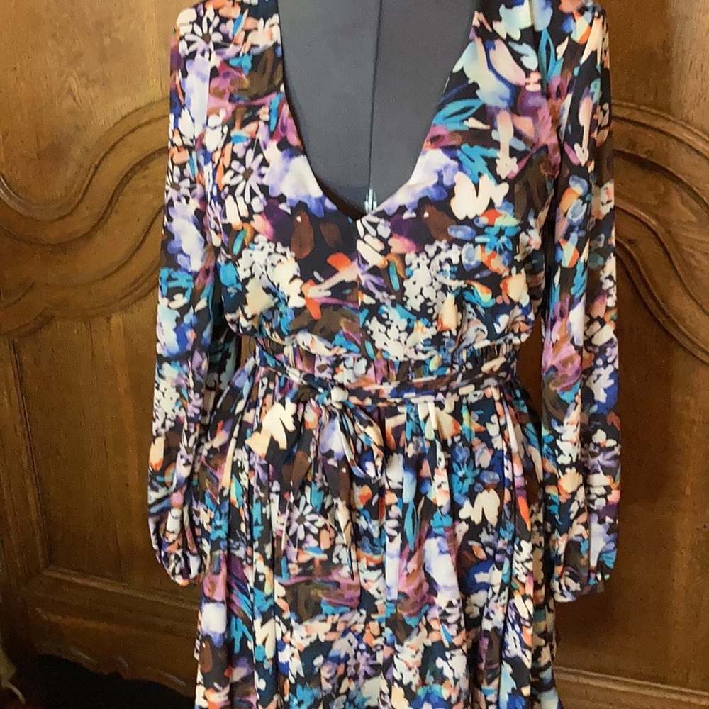 BELLE BADGLEY MISCHKA Alison V-Neck Printed Garden Floral Dress - Picture 8 of 14